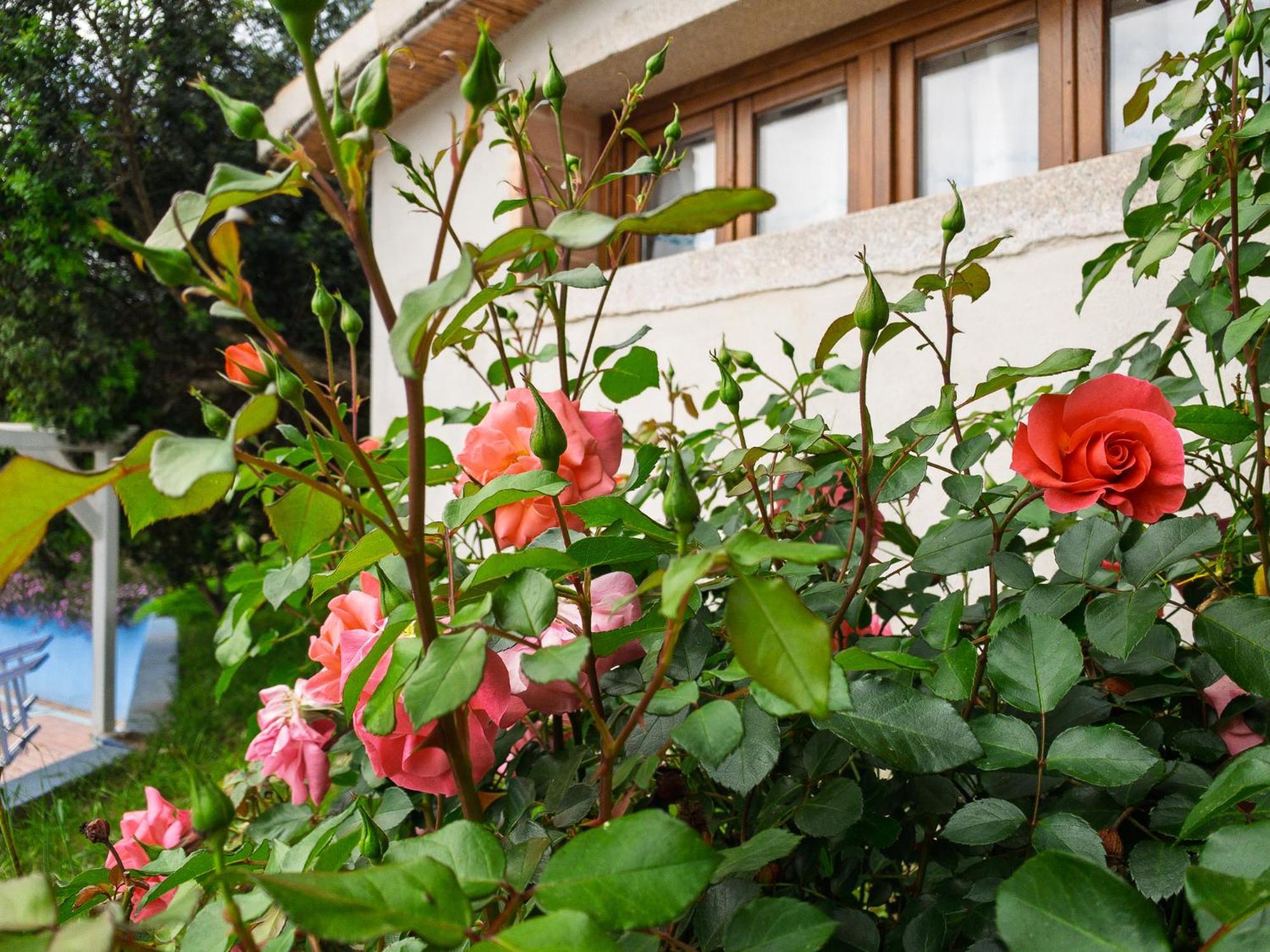 Agriturismo Guparza Posada  Eksteriør bilde