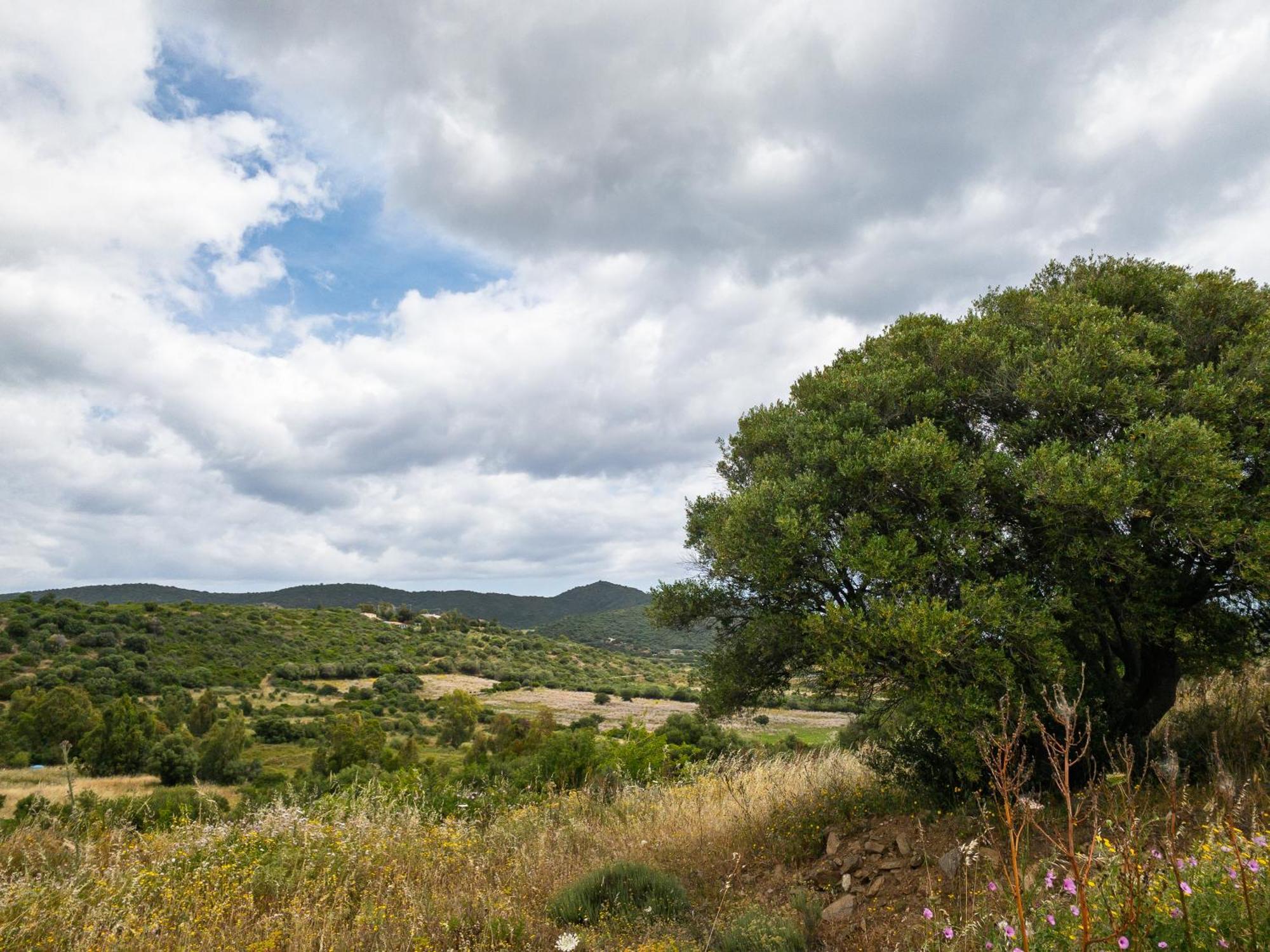 Agriturismo Guparza Posada  Eksteriør bilde